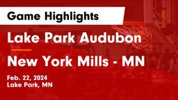 Lake Park Audubon  vs New York Mills  - MN Game Highlights - Feb. 22, 2024