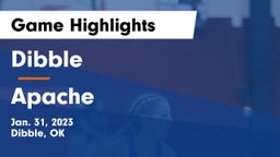 Dibble  vs Apache  Game Highlights - Jan. 31, 2023