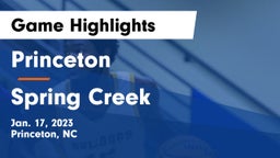 Princeton  vs Spring Creek  Game Highlights - Jan. 17, 2023