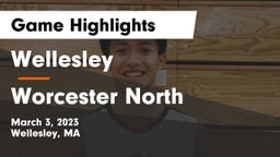 Wellesley  vs Worcester North Game Highlights - March 3, 2023