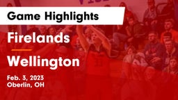 Firelands  vs Wellington  Game Highlights - Feb. 3, 2023