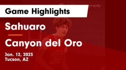 Sahuaro  vs Canyon del Oro  Game Highlights - Jan. 12, 2023