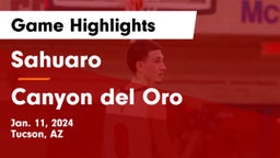 Sahuaro  vs Canyon del Oro  Game Highlights - Jan. 11, 2024