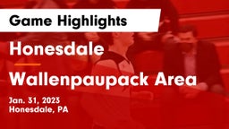 Honesdale  vs Wallenpaupack Area  Game Highlights - Jan. 31, 2023