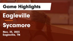 Eagleville  vs Sycamore  Game Highlights - Nov. 25, 2023