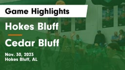 Hokes Bluff  vs Cedar Bluff Game Highlights - Nov. 30, 2023