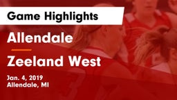Allendale  vs Zeeland West  Game Highlights - Jan. 4, 2019