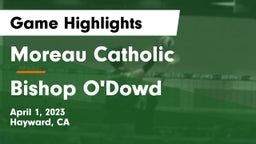 Moreau Catholic  vs Bishop O'Dowd  Game Highlights - April 1, 2023