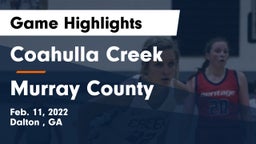Coahulla Creek  vs Murray County  Game Highlights - Feb. 11, 2022