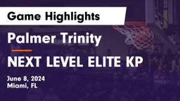 Palmer Trinity   vs NEXT LEVEL ELITE KP Game Highlights - June 8, 2024