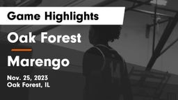 Oak Forest  vs Marengo  Game Highlights - Nov. 25, 2023