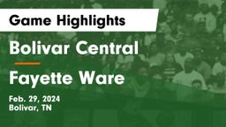 Bolivar Central  vs Fayette Ware  Game Highlights - Feb. 29, 2024