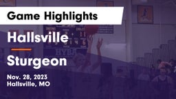 Hallsville  vs Sturgeon  Game Highlights - Nov. 28, 2023