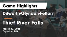 Dilworth-Glyndon-Felton  vs Thief River Falls  Game Highlights - March 17, 2023