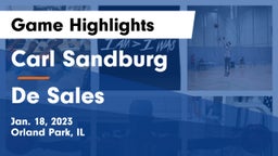 Carl Sandburg  vs De Sales Game Highlights - Jan. 18, 2023