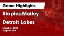 Staples-Motley  vs Detroit Lakes  Game Highlights - March 3, 2022