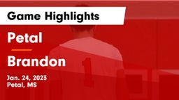 Petal  vs Brandon  Game Highlights - Jan. 24, 2023
