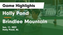 Holly Pond  vs Brindlee Mountain  Game Highlights - Jan. 11, 2022