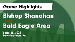Bishop Shanahan  vs Bald Eagle Area  Game Highlights - Sept. 10, 2022