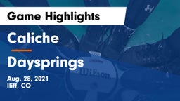 Caliche  vs Daysprings Game Highlights - Aug. 28, 2021