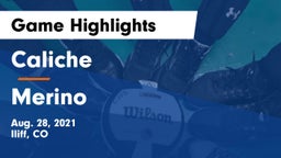 Caliche  vs Merino Game Highlights - Aug. 28, 2021