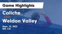 Caliche  vs Weldon Valley Game Highlights - Sept. 13, 2022