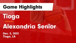 Tioga  vs Alexandria Senior  Game Highlights - Dec. 5, 2023