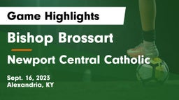 Bishop Brossart  vs Newport Central Catholic  Game Highlights - Sept. 16, 2023