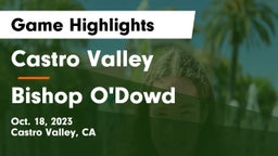 Castro Valley  vs Bishop O'Dowd  Game Highlights - Oct. 18, 2023