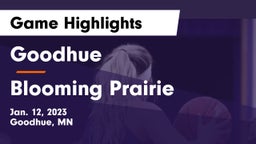 Goodhue  vs Blooming Prairie  Game Highlights - Jan. 12, 2023