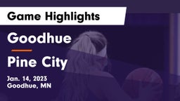 Goodhue  vs Pine City  Game Highlights - Jan. 14, 2023