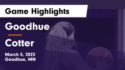 Goodhue  vs Cotter  Game Highlights - March 5, 2023