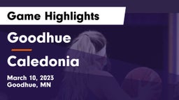 Goodhue  vs Caledonia  Game Highlights - March 10, 2023
