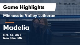 Minnesota Valley Lutheran  vs Madelia  Game Highlights - Oct. 14, 2021