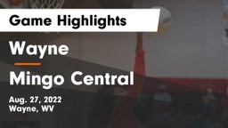 Wayne  vs Mingo Central  Game Highlights - Aug. 27, 2022