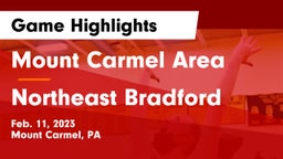Mount Carmel Area  vs Northeast Bradford  Game Highlights - Feb. 11, 2023
