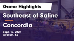 Southeast of Saline  vs Concordia  Game Highlights - Sept. 10, 2022