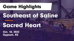 Southeast of Saline  vs Sacred Heart  Game Highlights - Oct. 18, 2022