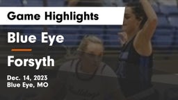 Blue Eye  vs Forsyth  Game Highlights - Dec. 14, 2023