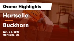 Hartselle  vs Buckhorn  Game Highlights - Jan. 31, 2023
