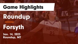 Roundup  vs Forsyth  Game Highlights - Jan. 14, 2023