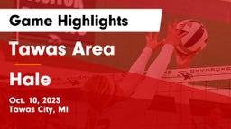 Tawas Area  vs Hale  Game Highlights - Oct. 10, 2023