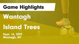 Wantagh  vs Island Trees  Game Highlights - Sept. 16, 2022