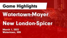 Watertown-Mayer  vs New London-Spicer  Game Highlights - March 1, 2022