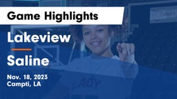 Lakeview  vs Saline  Game Highlights - Nov. 18, 2023