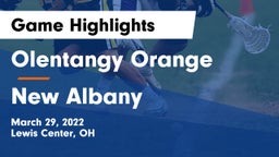 Olentangy Orange  vs New Albany  Game Highlights - March 29, 2022