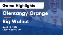 Olentangy Orange  vs Big Walnut  Game Highlights - April 18, 2024