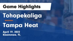 Tohopekaliga  vs Tampa Heat Game Highlights - April 19, 2022