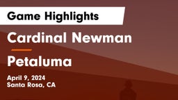 Cardinal Newman  vs Petaluma Game Highlights - April 9, 2024