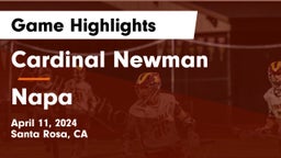 Cardinal Newman  vs Napa  Game Highlights - April 11, 2024